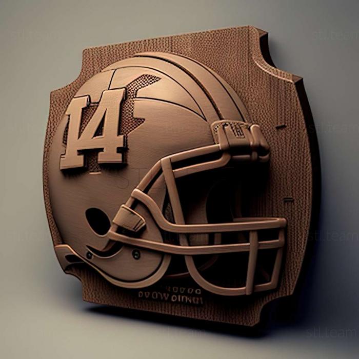 3D модель Гра NCAA Football 14 (STL)